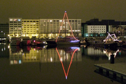 De grootste lichtkerstboom van Antwerpen